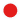 JP